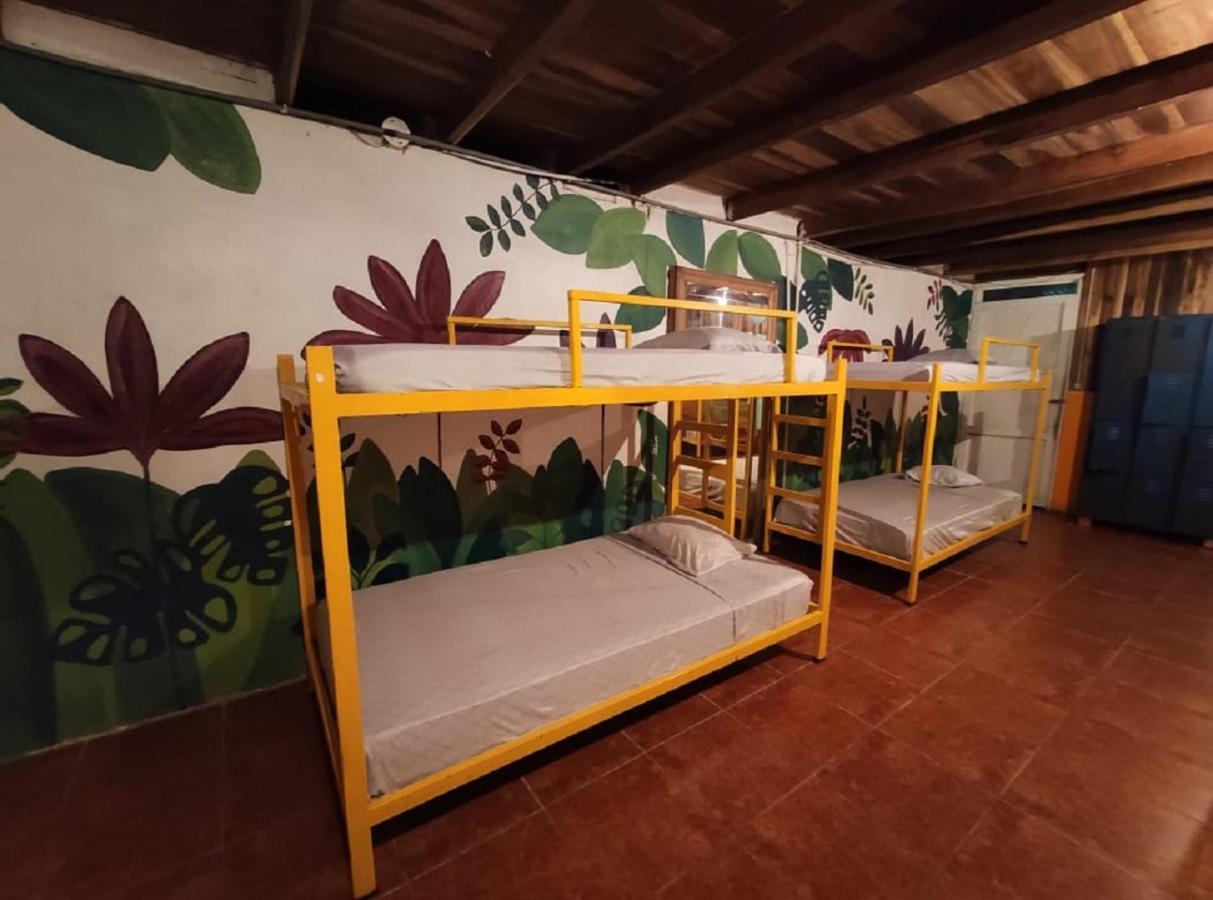 Madre Selva Hostel Puerto Viejo de Talamanca Bagian luar foto