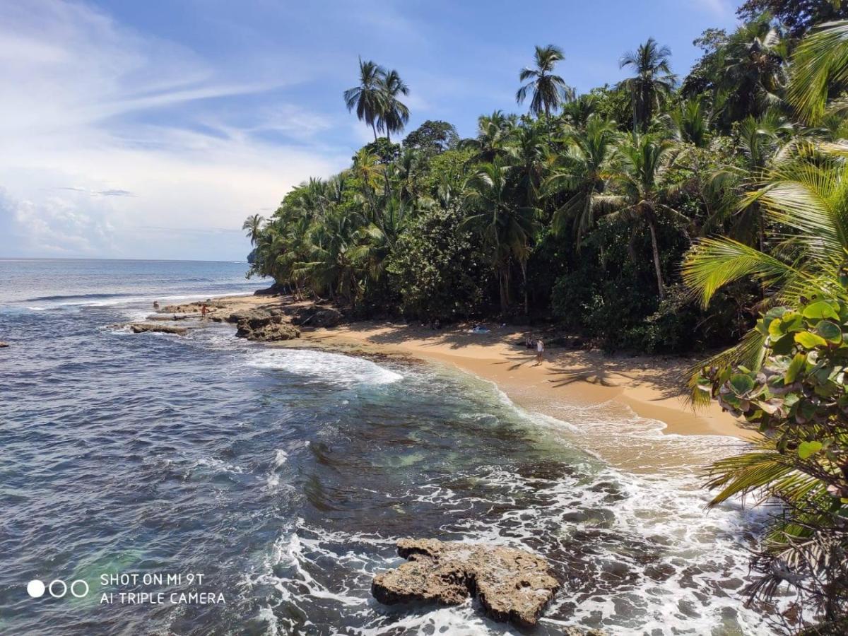 Madre Selva Hostel Puerto Viejo de Talamanca Bagian luar foto