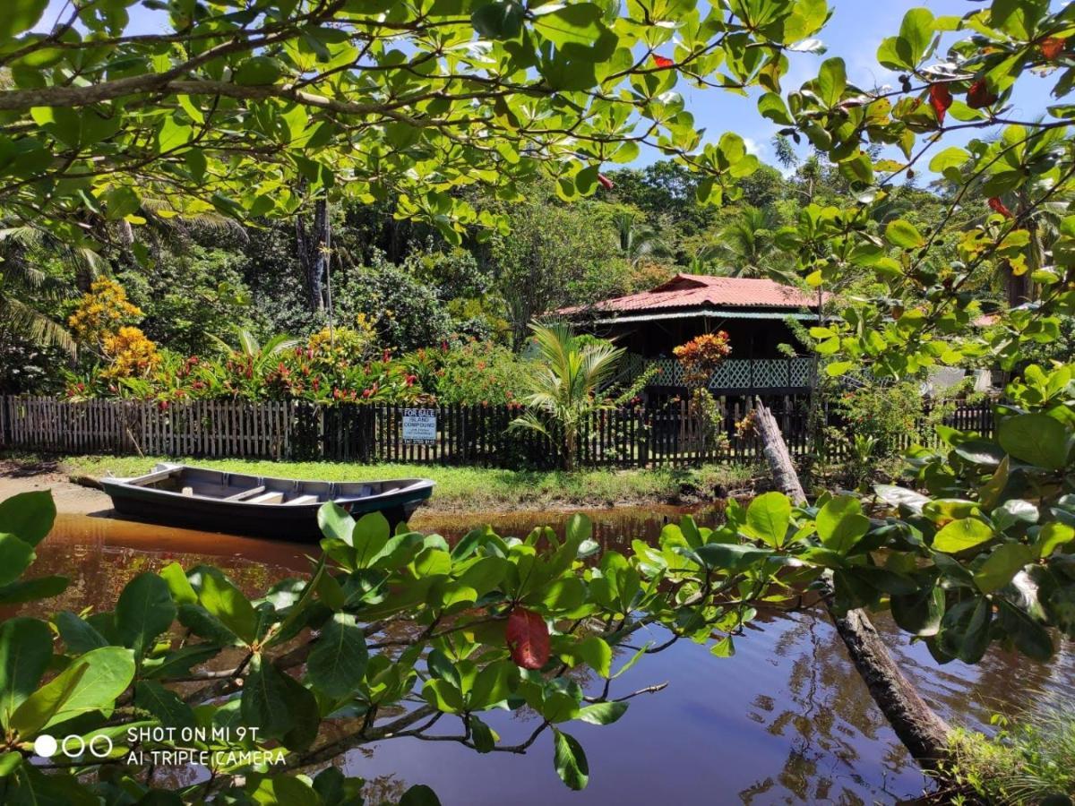 Madre Selva Hostel Puerto Viejo de Talamanca Bagian luar foto
