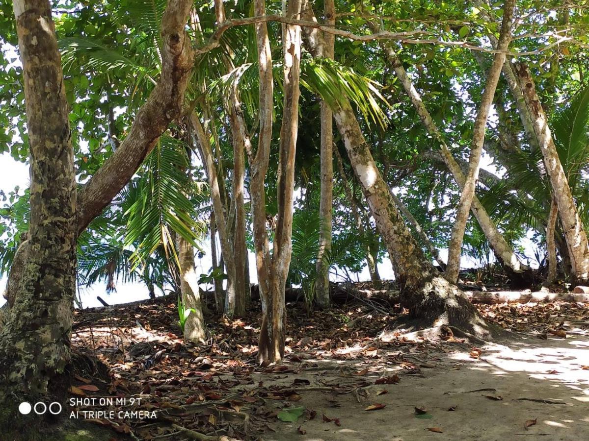 Madre Selva Hostel Puerto Viejo de Talamanca Bagian luar foto