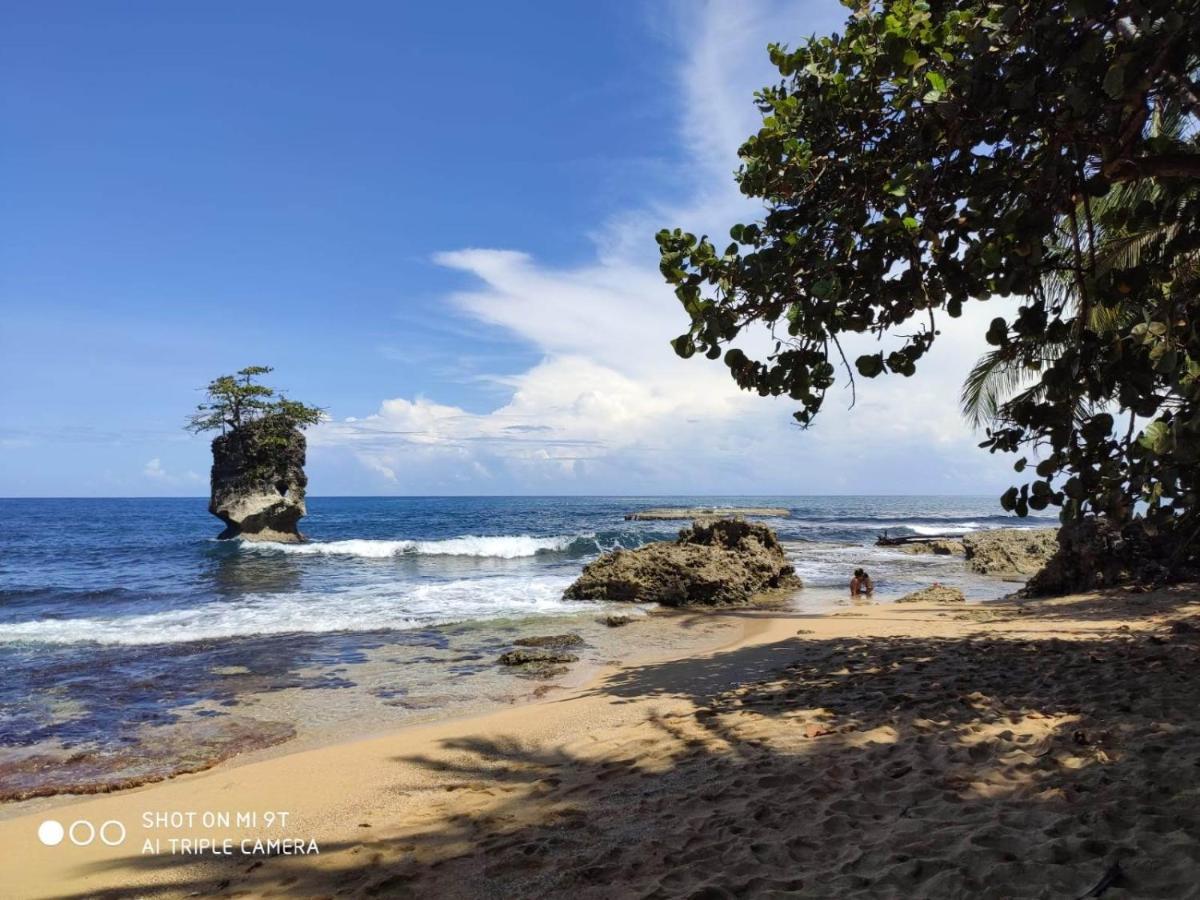 Madre Selva Hostel Puerto Viejo de Talamanca Bagian luar foto