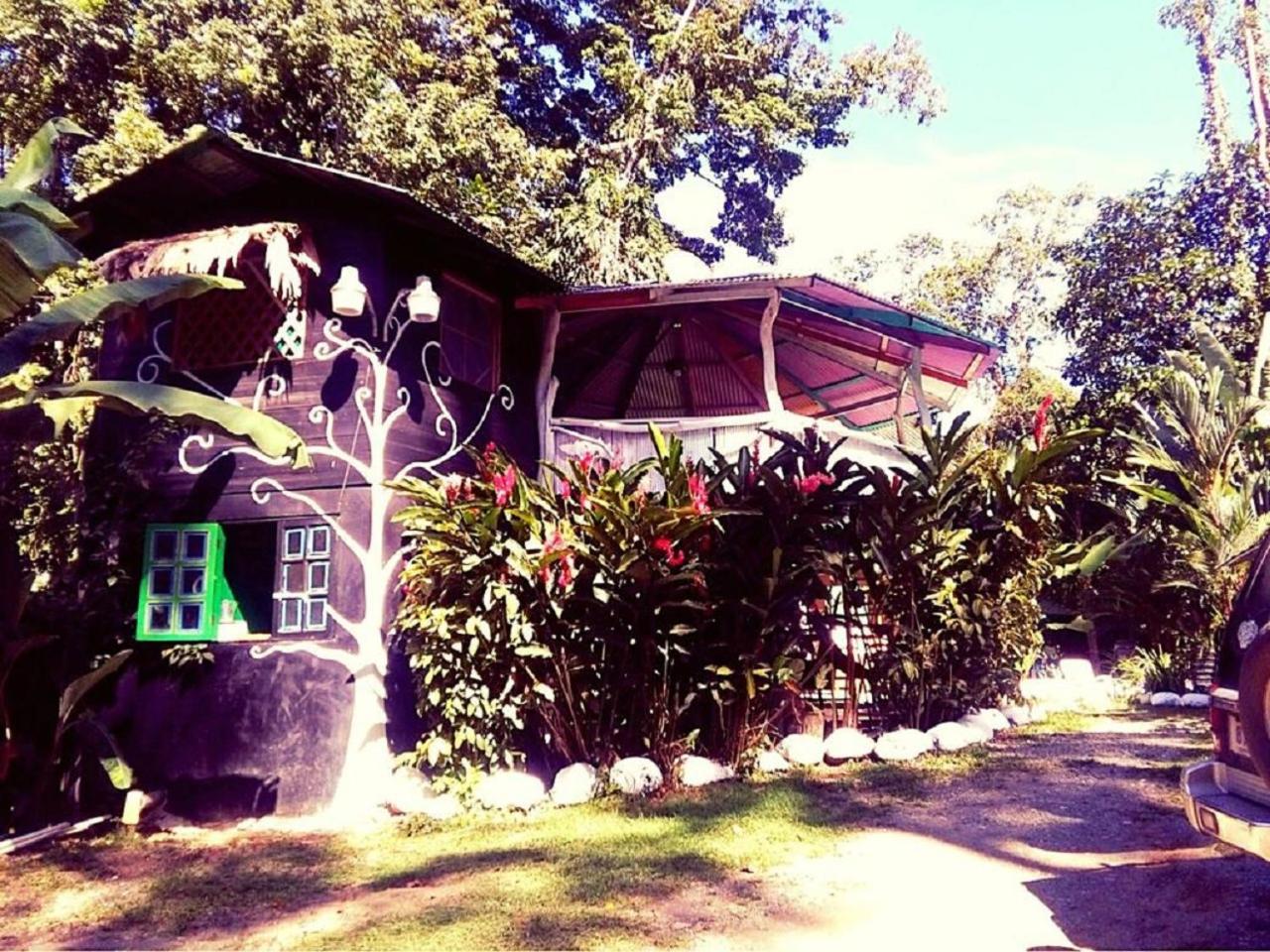 Madre Selva Hostel Puerto Viejo de Talamanca Bagian luar foto