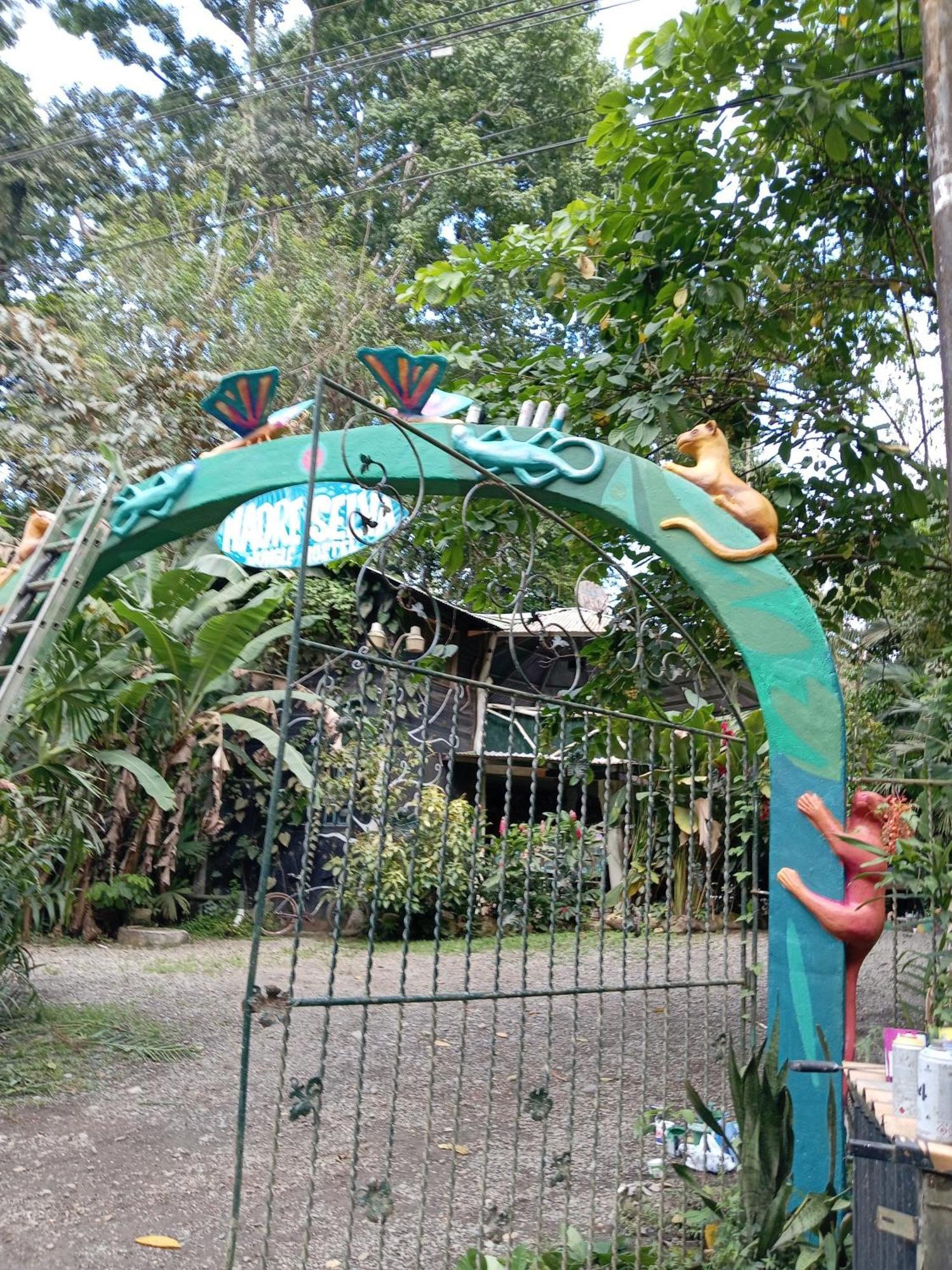 Madre Selva Hostel Puerto Viejo de Talamanca Bagian luar foto