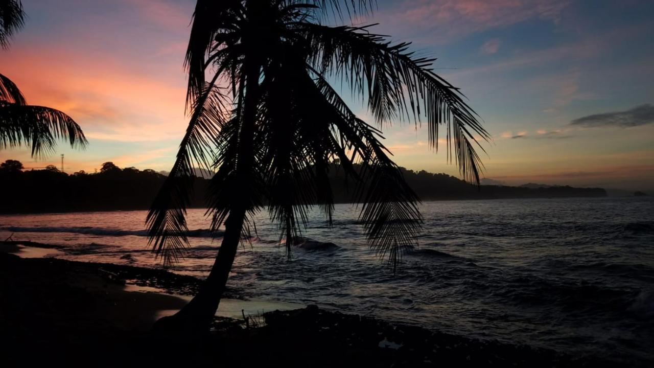 Madre Selva Hostel Puerto Viejo de Talamanca Bagian luar foto