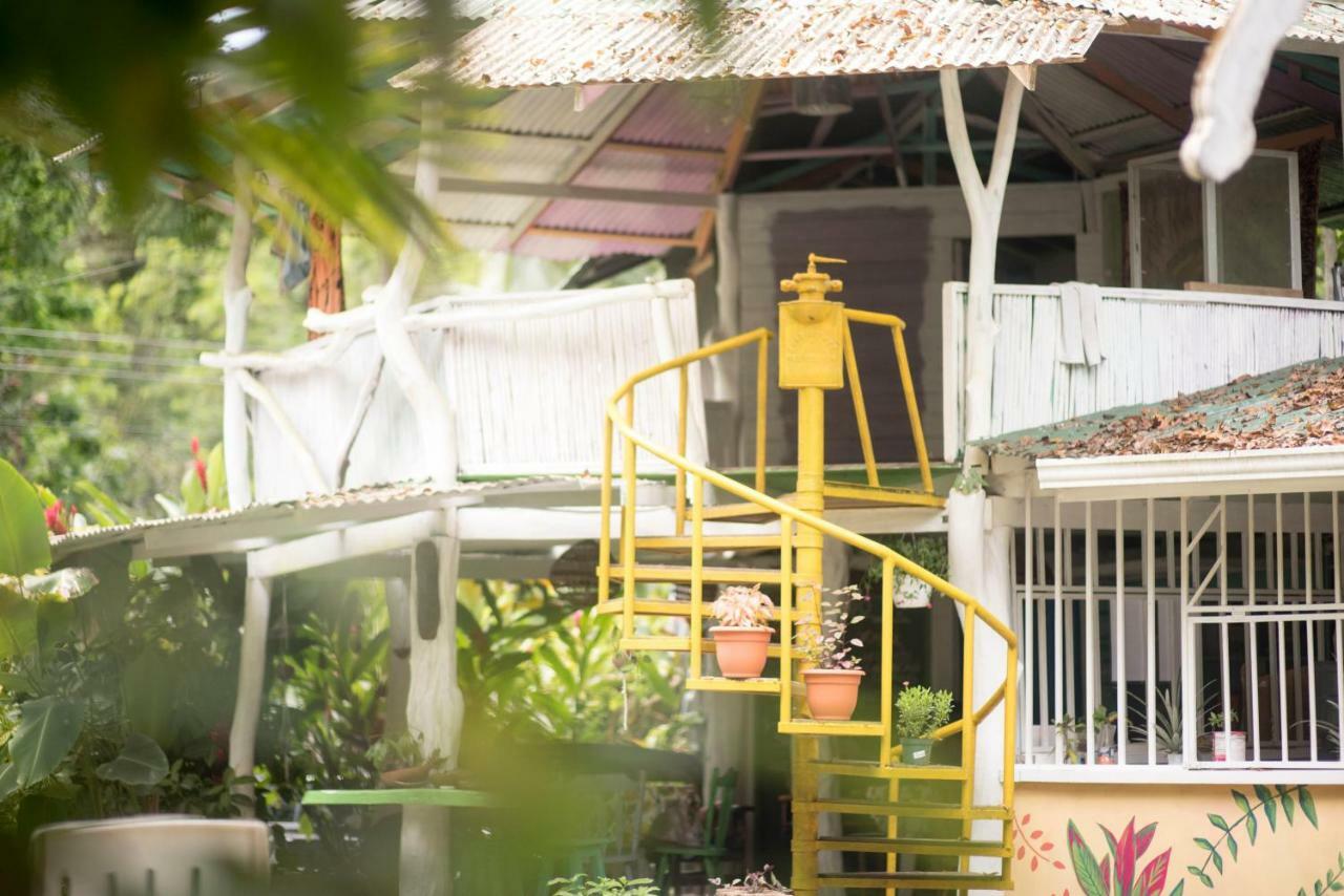 Madre Selva Hostel Puerto Viejo de Talamanca Bagian luar foto