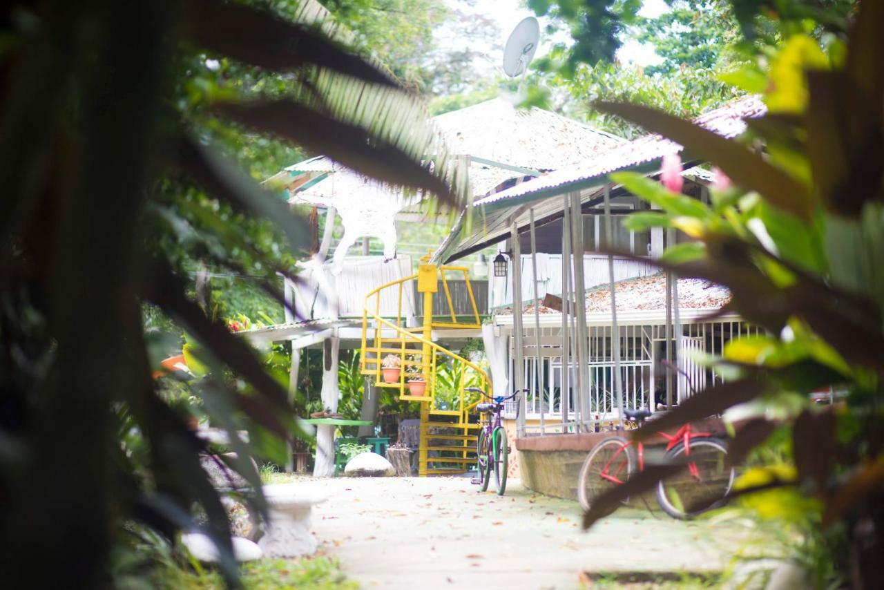 Madre Selva Hostel Puerto Viejo de Talamanca Bagian luar foto
