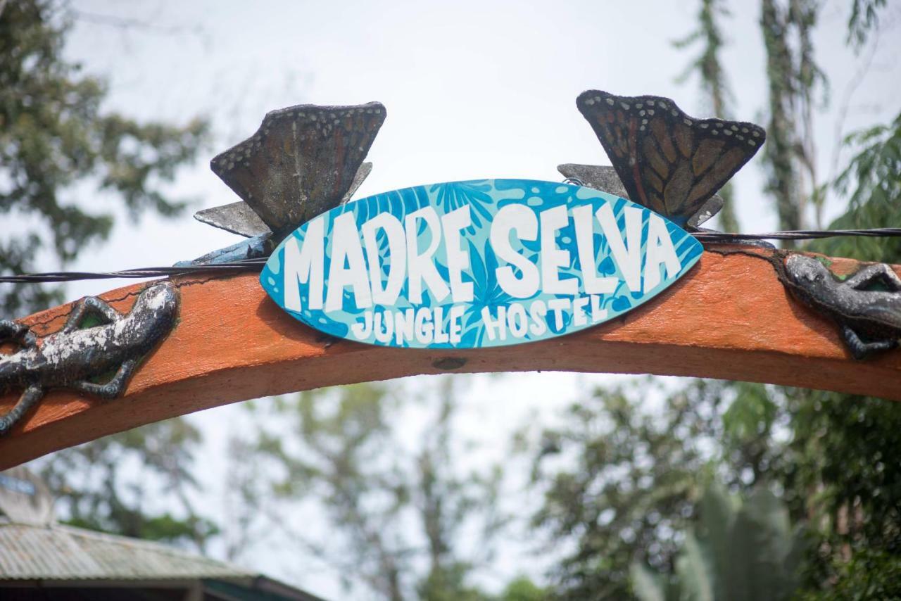 Madre Selva Hostel Puerto Viejo de Talamanca Bagian luar foto